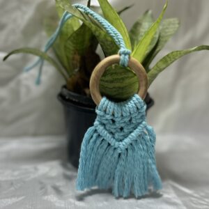 Car Charms (pack of 5)